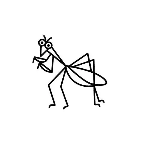 如何画出简笔画螳螂
