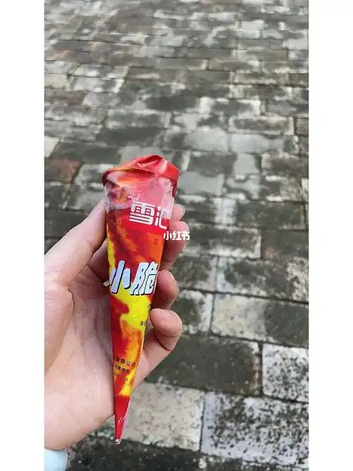 北京哪里有卖雪汇小脆筒的0169