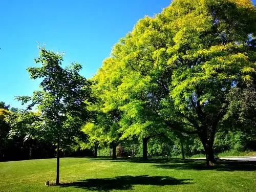 晴空万里艳阳高照,公园的草木更加艳丽,看着满眼的美景心情特别舒畅