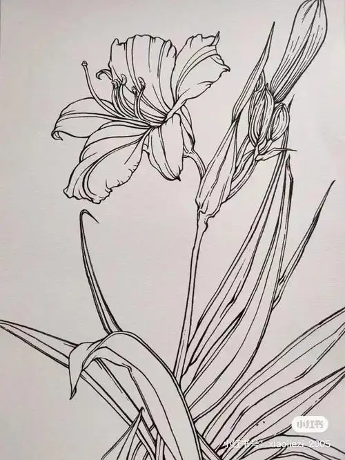 "教科书级别"线描神作,每一张都是写生经典范画