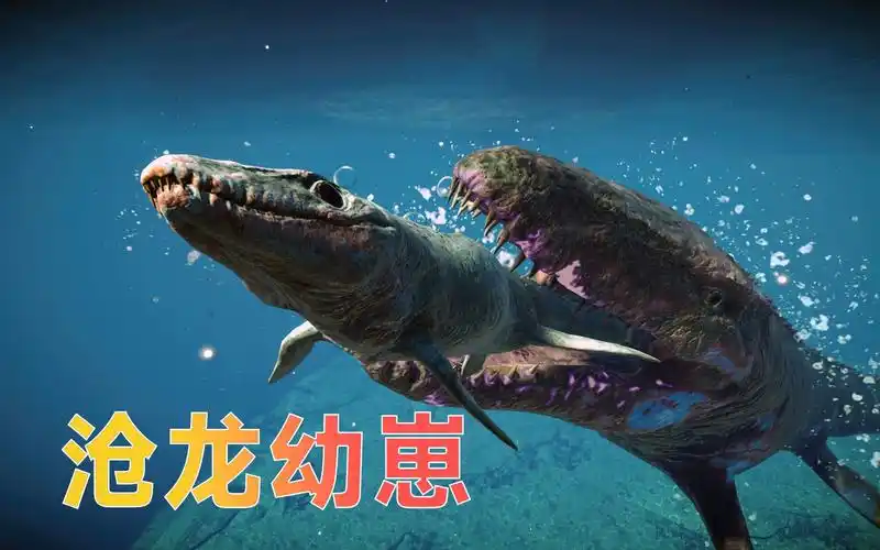 活动作品沧龙和鱼龙生幼崽了