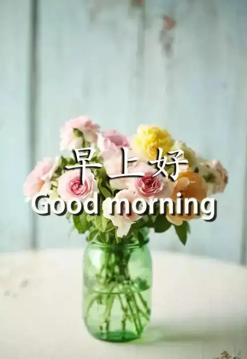 向情人问候早安短句每天早上适合发送的早安问候语