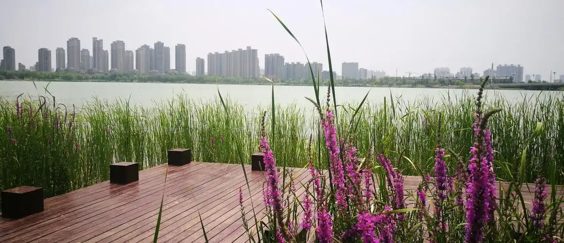 开封西湖白沙滩水上摩托表演