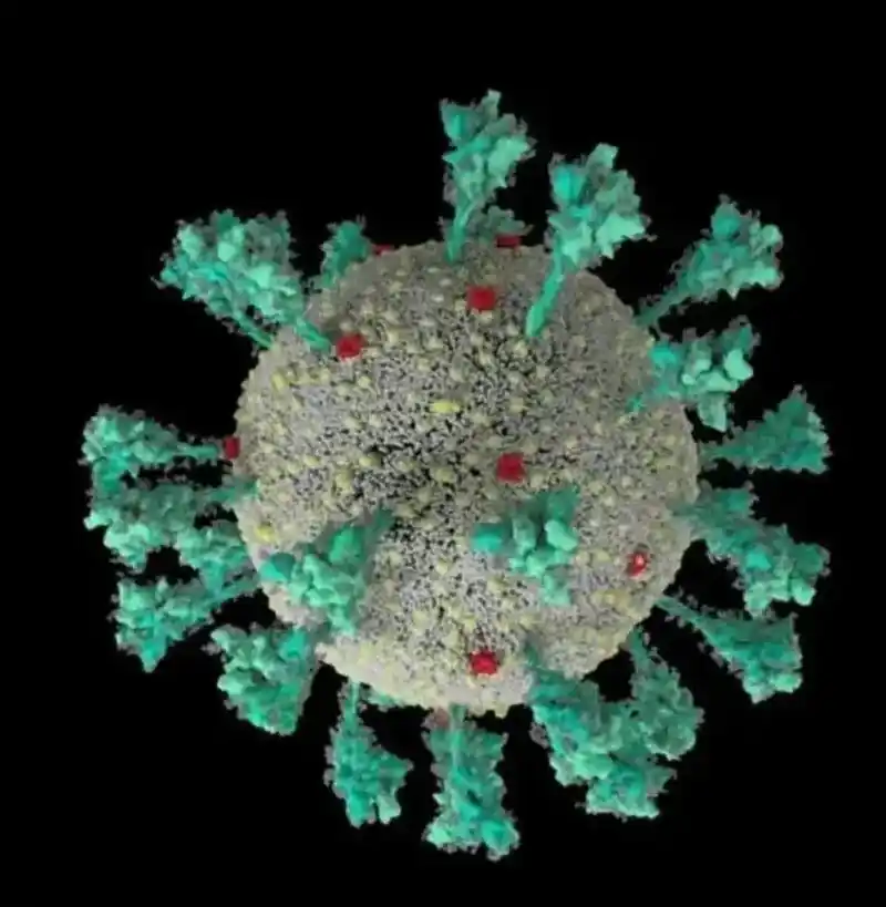 中医看新冠病毒.从中医的角度看,新冠其实就是一场瘟疫,根据疫 - 抖音