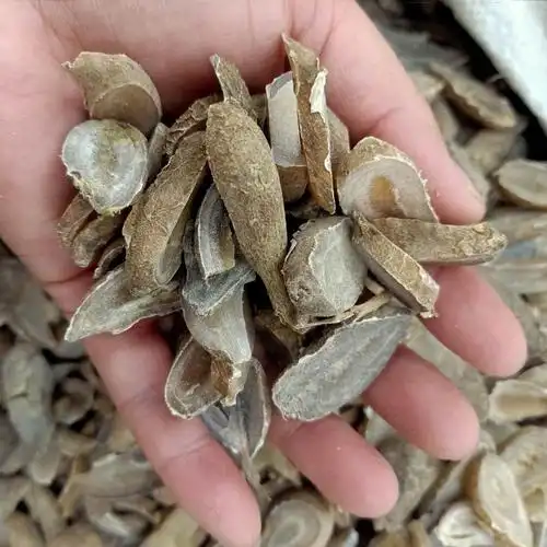 郁金统货产地广西壮族自治区小影全品类中药材店铺