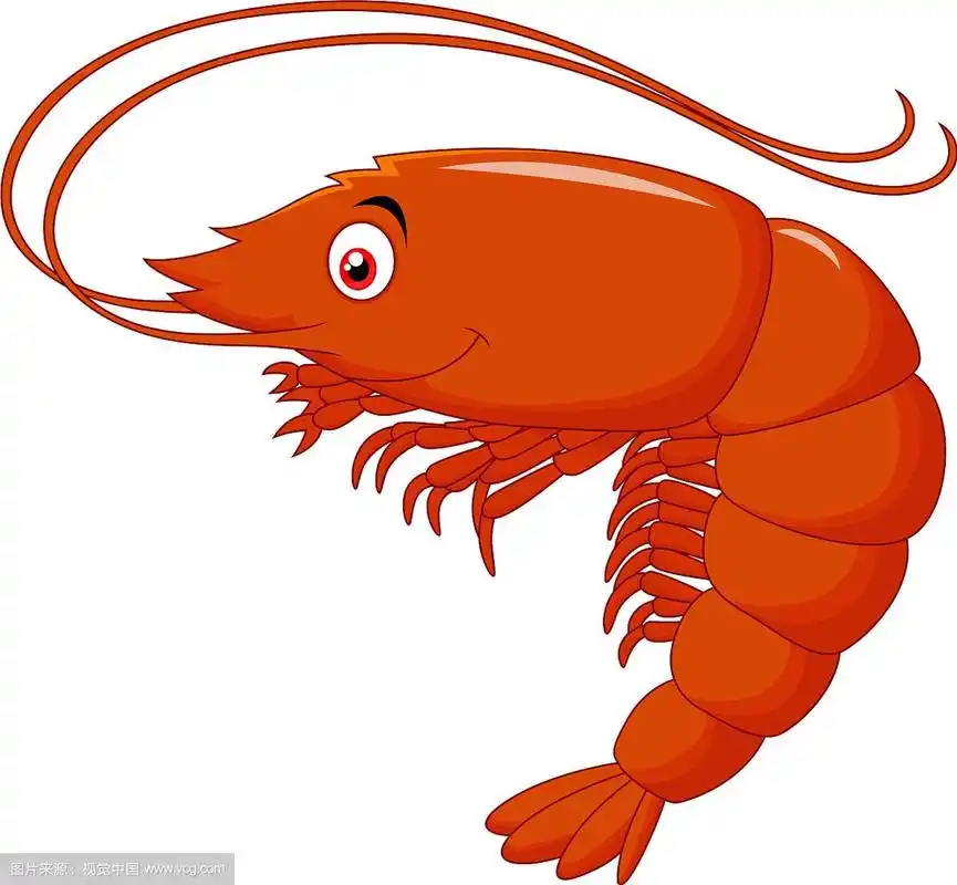 可爱的卡通虾