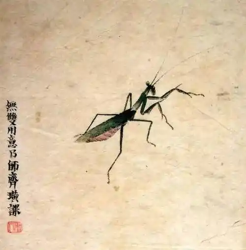 国画小品昆虫大全