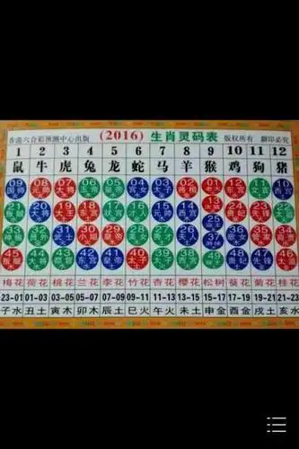 80男猴83女猪婚配好吗 80年属猴的属相婚配表 文库男女属相婚配表大全