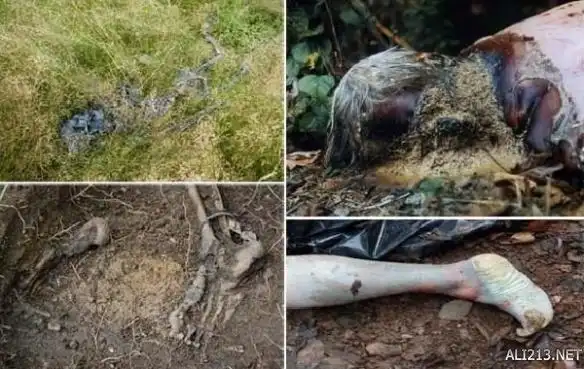 全球十大恐怖之地寂静岭小镇原型真的是鬼城