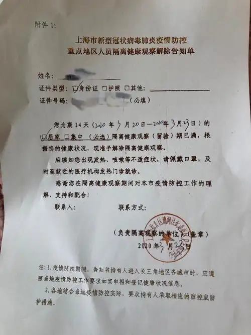 滞留湖北58天漫长春假结束后我在上海和猫隔离