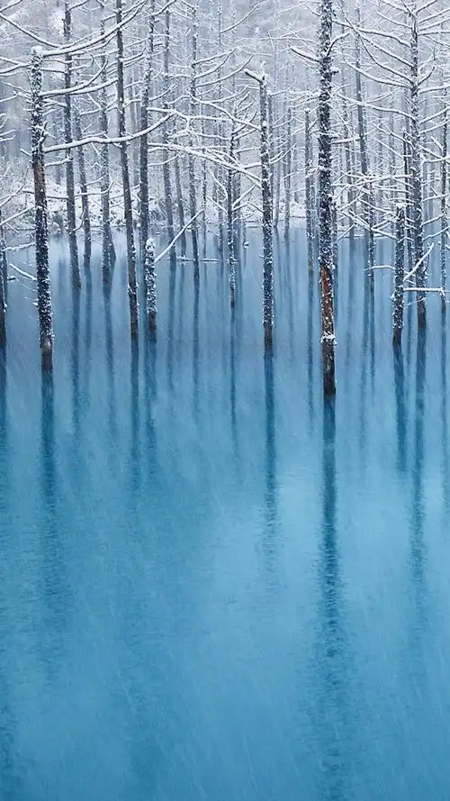 好看的冬日雪景唯美意境高清手机壁纸免费专辑套图