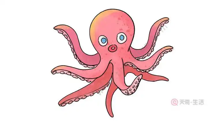 章鱼的简笔画 可爱,章鱼的简笔画怎么画- 三君经验百科网