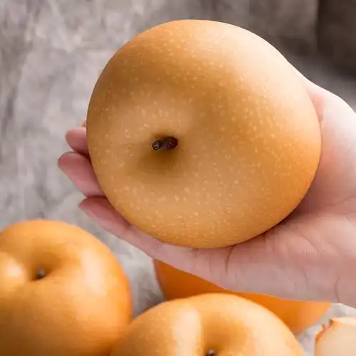 京觅羊脂秋月冰糖梨净重35kg礼盒新鲜水果