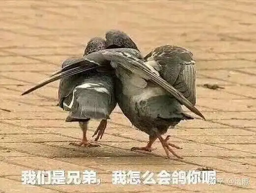 表情包 - 表情图