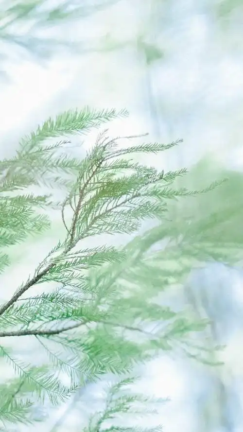 简约日系绿色风景图片16