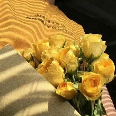 黄颜色头像唯美背景图 黄颜色背景头像 - 微信头像 - 520个性网