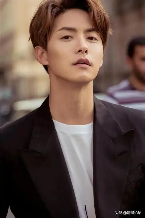 男明星大陆40岁以上_中国老一代男演员大全