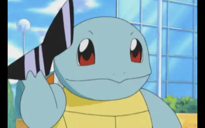 精灵宝可梦小智的宝可梦杰尼龟篇