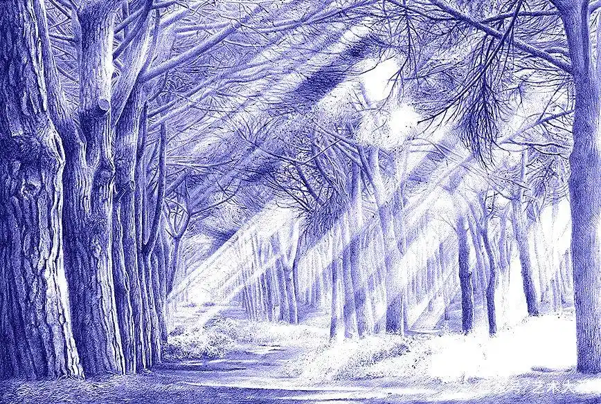 欧阳鹏杰oy钢笔画和圆珠笔画动物风景作品选摘