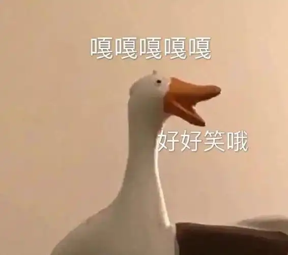 萌宠大鹅嘎嘎嘎好好笑哦呆萌可爱gif动图_动态图_表情包下载_soogif