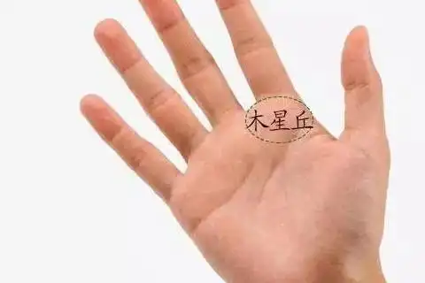 木星丘有星纹会得良缘吗 什么是木星丘