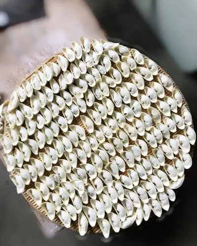 智妈小厨做的元宝饺子