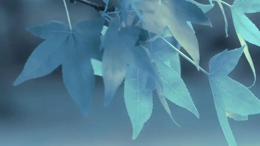 清新护眼的简约唯美风景图片桌面壁纸