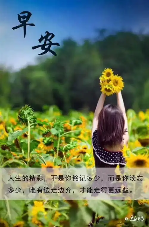 镜子微笑 做一朵向日葵 内心向阳 不忧伤,不心急 坚强,向上 靠近阳光