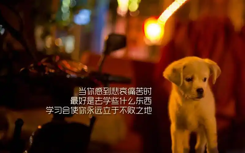 为梦想奋斗励志图片,高清壁纸图片,矢量图-回车桌面