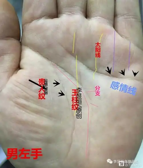 手相玉柱纹3种图形一生衣食无亏十人九富