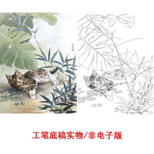 工笔画制作猫咪工笔画白描底稿线稿透稿临摹实物打印稿254