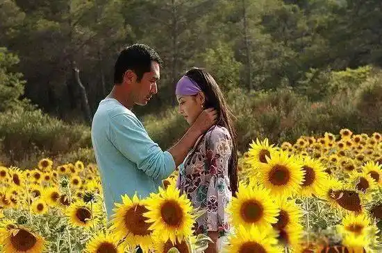 多年之后,我们"又见一帘幽梦"_普罗旺斯_薰衣草_法国