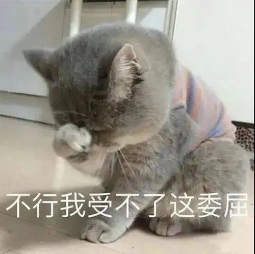 沙雕猫表情包搞笑有趣猫猫系列