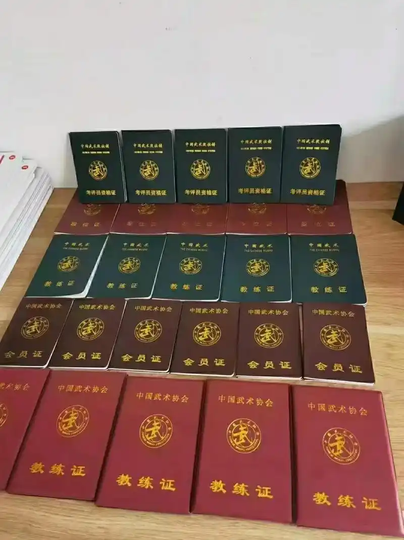 [烟花]中国武术协会 会员证;段 - 抖音