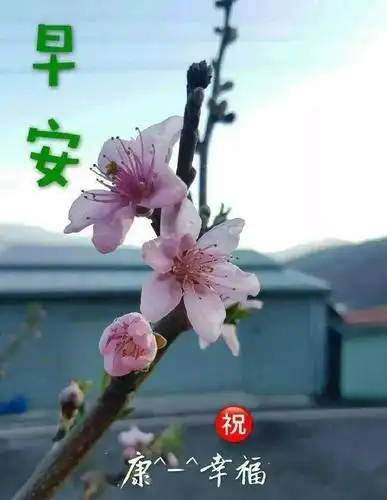 2020漂亮的早上好图片带字 新版暖心早安动态图片大全