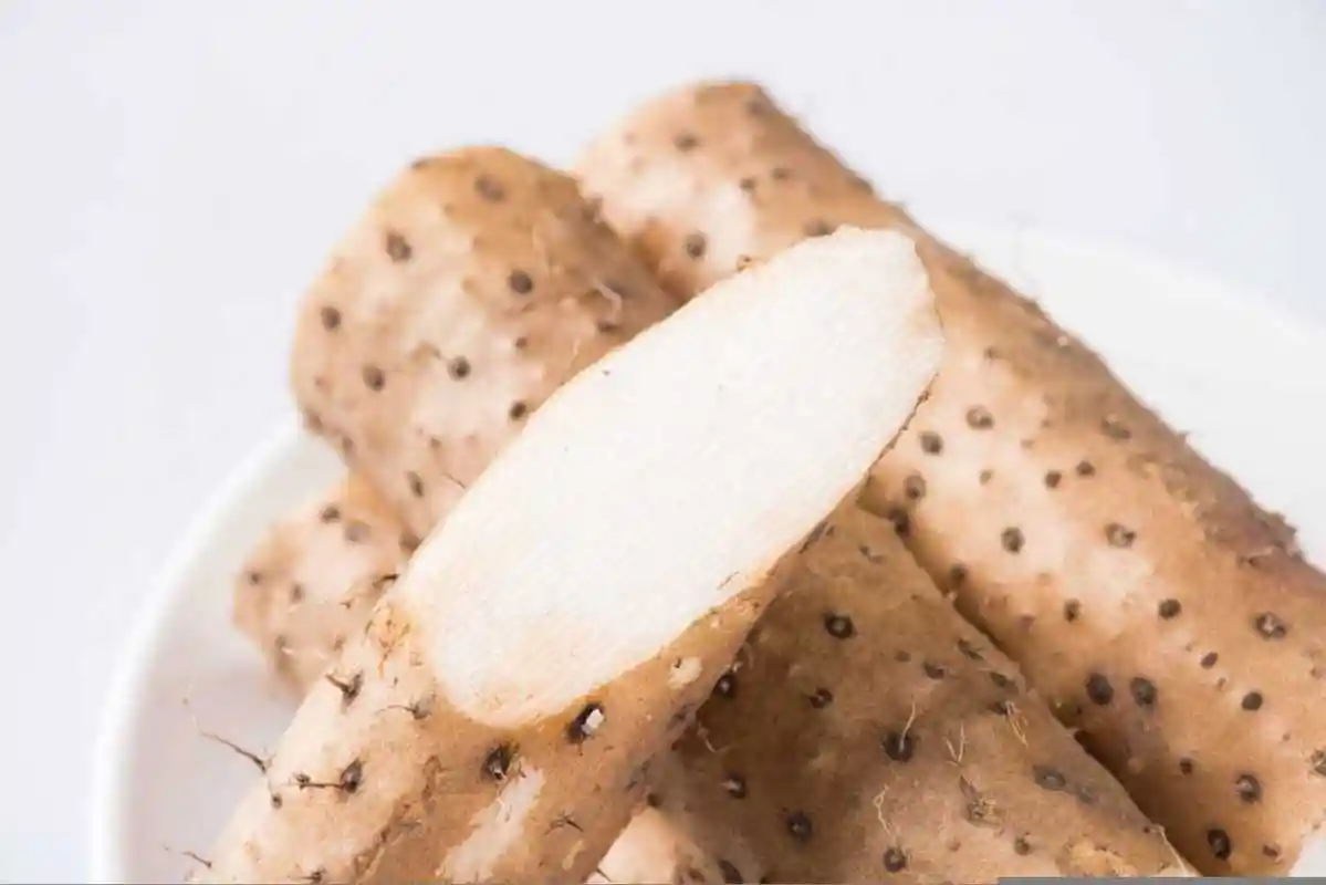 山药怎么吃,山药可以生吃吗 - 绿姿园林绿化网