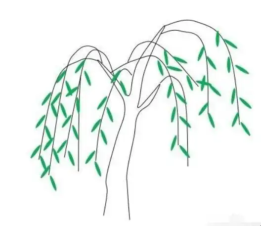 柳树简笔画怎么画