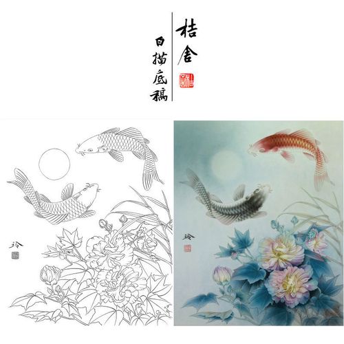 郑玲玲工笔画白描底稿鲤鱼带a3步骤图用色说明初学者临摹画稿zl38