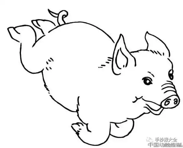 线条边框简笔画图片大全简笔画猪手抄报图片边框版式大全