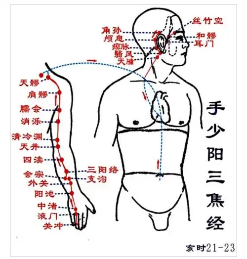 学经络手少阳三焦经