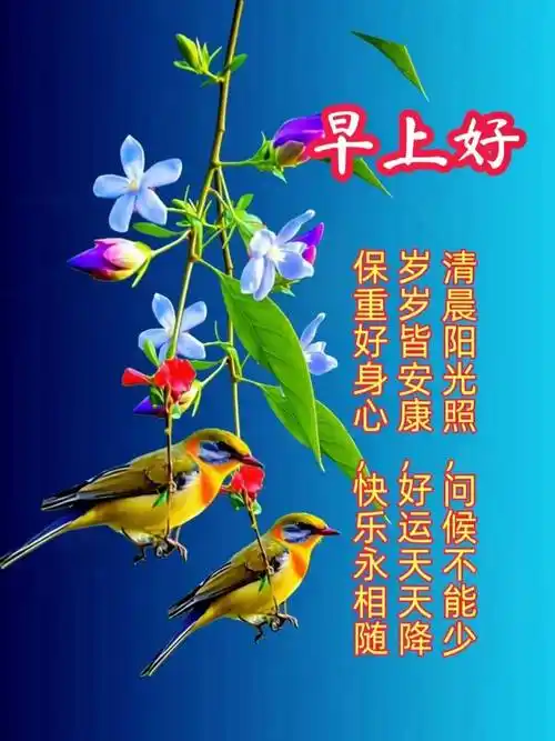 12月9日最漂亮早上好动态表情图片大全,早晨好动图美图大全