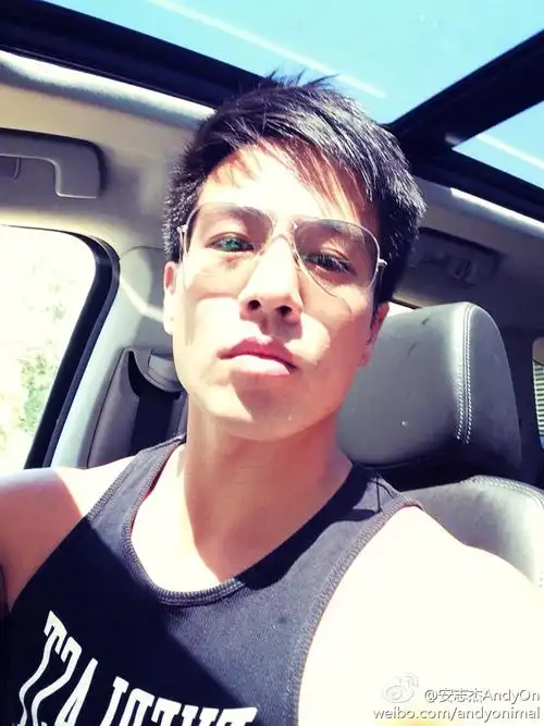 安志杰嘴角疤痕怎么来的(安志杰嘴角疤痕和洪金宝一样)