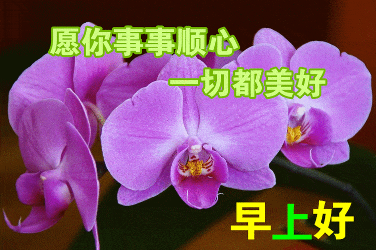 1月14日最漂亮早上好动态表情图片大全,早上好动图美图大全_问候