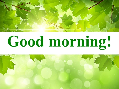 新目标七年级上startrnit1goodmorning4a4dppt18页