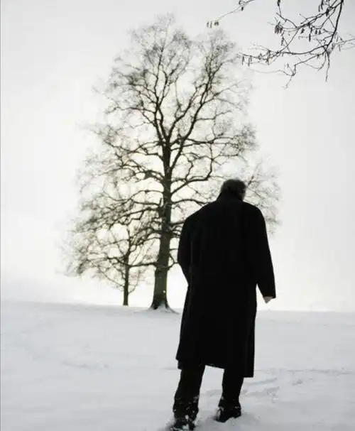 永远记得那个冬日 一个飘雪的日子 你离开了我 那决绝的背影 击垮了我