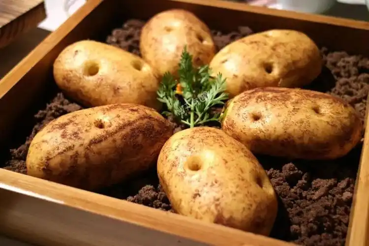 花溪寻隐,古风食苑,穿越到南宋街市,品百年臻味