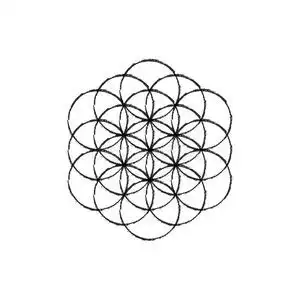 花线图标生命之花矢量线草图图标照片