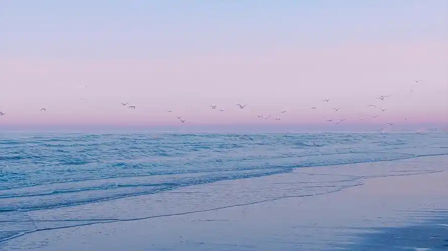 有什么治愈系背景图和头像分享