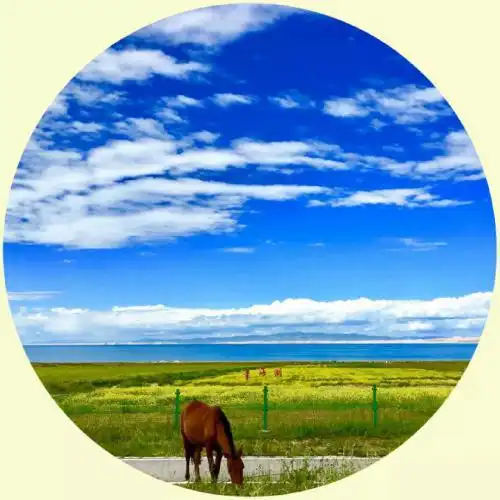 适合女人用的风景头像图片2021最经典的风景