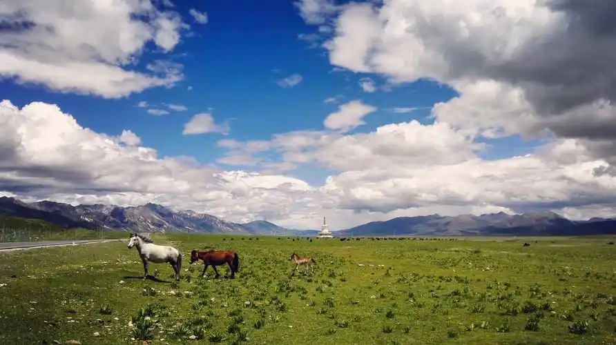 【理塘景点图片】理塘草原